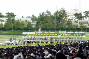 おそらく競馬板で生観戦したのは自分だけだろうと思うレース