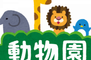 【仰天】動物園でライオンやトラに「丸ごとの鹿」を餌として与えた結果ｗｗｗｗｗｗ