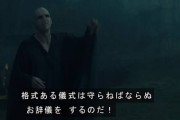 ハリポタのヴォルデモートって、何がすごい人だったの？？？