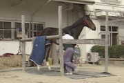ダンスインザダークよりカッコいい馬名ってある？