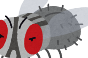 【悲報】ワイのお家『ハエ』だらけになるｗｗｗｗｗｗｗ