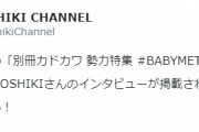BABYMETAL「10RT以上の人気ベビメタツイート集」