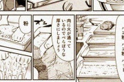 グルメ漫画による「超級カツ丼」の作り方ｗｗｗ