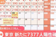 東京都、7,377人感染確認　過去最多
