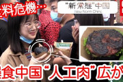 【食料危機】中国では既に「人工肉」が普及し始めているという事実‥‥餃子にハンバーグなど　食べたことあるやついる？