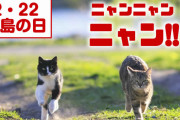 【拡散】2月22日は竹島の日 #ニャンニャンニャン