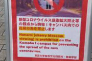 花見禁止から目隠し売ろうとする東大生の商魂草