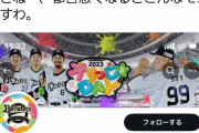 オリックス公式Twitter、球団応援歌のskyを歌うMEGA STOPPERのメンバーをブロックwwwwwwww