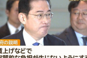 こども政策担当大臣「子育て支援金の月500円徴収というのはあくまで平均額。所得高い人は1000円超えます＾＾」
