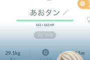 【ポケモンGO】メガタブンネレイドデイ反省会！