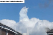 飼い猫がいつも見ている景色を覗いてみたら、雲の神様になっていた？