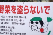 日本の刑務所にいる韓国人の数、2011年から4倍～5倍に増加       10/10