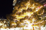 【画像】名古屋のクリスマスイルミネーションがまるで爆発したように見えると話題にｗｗｗｗｗｗｗｗｗｗｗｗ