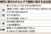 【悲報】ヒグマ「なぜ殺した」、苦情400件以上殺到