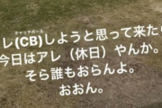 藤浪晋太郎さん、メジャー行くからって岡田監督をおちょくる