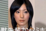 菅野美穂菅野美穂説とかいう最有力説
