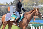 ブエナベントゥーラが6/6(土)デビュー１０馬身差圧勝あるで
