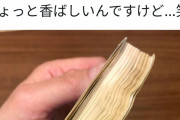 【画像】えみつん、やらかした模様。ついにファンにゴミを押し付けてしまう・・・