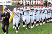 たまに甲子園にとんでもない学校名の高校が出場してることあるよな