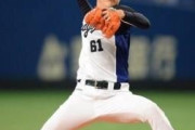 若松駿太(28) 防御率3.64 5完投 5勝 11敗 121回 82奪三振 WHIP1.26