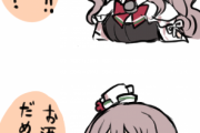 【艦これ】ザラねえさま出撃前のひとこと　他なごみネタ