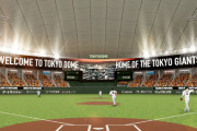 でも東京ドームって球場そのものが普通なだけで、敷地全体で見たら日本最高のボールパークだよな