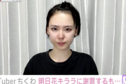 【速報】明日花キララを中傷した例の女YouTuber、無事広告を剥がされる