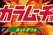 湖池屋とかいう「カラムーチョ」だけの一発屋ｗｗｗｗｗｗｗｗｗｗ