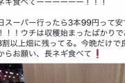 【画像】長ネギ農家さん、必死「お願い！まだ8割も残ってる！長ネギ食べてーーー！今晩だけでいいからお願い！長ネギ食べてーーー！」