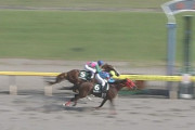 【競馬】戸崎＞＞＞＞＞武豊が確定した件