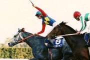 有馬記念で引退した馬全部言える奴0人説