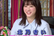 【画像】北乃きいって「こんな顔だったっけ？」