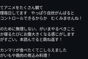中川翔子「進撃見てー　リゼロ見てー　怪獣8号見てー」
