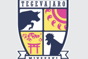 サッカー界でも今年の漢字『熊』！J2初昇格のテゲバジャーロ宮崎、大熊裕司監督の続投を発表 「ここがゴールではありません」