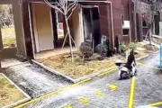 【中国】15階から落下した窓ガラスがバイクの人を襲う恐ろしい事故の映像。