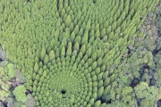 日本が50年かけて作った「ミステリーサークル」に海外びっくり仰天！（海外の反応）