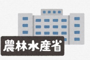 【悲報】農水省悲鳴「助けて！魚を食べる国民が激減してるの！なんで魚食べてくれないの？！」