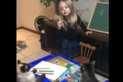 【動画】ネコに授業する女の子がかわいすぎｗｗｗ
