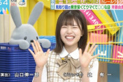 【日向坂46】松田好花『ラヴィット！』初日を完璧にこなし、司会川島も驚くｗｗｗｗｗｗｗｗｗｗ
