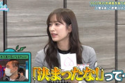 【日向坂46】今週のひなあいがあちこちオードリーっぽい
