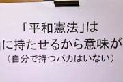 もう、こいつら根絶やしにしちゃって許されるレベルだろ　～　【日本悪玉論】「日本が『普通』になる権利を我々は認めない。日本人には弱者を踏み躙る本能がある」と韓国人記者が表明