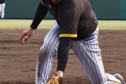 【阪神】佐藤輝明三塁ノック“延長戦”突入　大粒の汗にファンも拍手　前日は背中の張りで中断