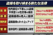 【朗報】「撮影罪」成立、女を盗撮すると刑事罰に