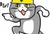 【警告】Twitter民「現場猫は”茶化し”ではない。あの絵には死者たちの無念が宿ってる」
