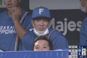 【vs.西武】日ハム松本剛は2打数無安打で交代　打率.347でシーズン終了