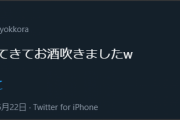 杉田位しかVの話してなかった頃と比べると随分と浸透したな