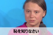 出会い厨「自己紹介にグレタ支持って書くとネットナンパ成功率アップするぞ」「すげえええ！」800%増