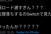 【悲報】牧場物語フラゲ民「ロード遅い、処理カクツキが酷い。素人集団が作ったのか?」