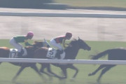 【競馬/新馬】ジェンティルドンナ全妹ベルダム弱すぎ追走すらできないワロタｗｗｗｗｗｗｗｗｗ