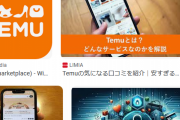 【実際】「Temu」や「Qoo10」っていう激安中華通販サイトってどうなの？ 買ったやついる？？？？